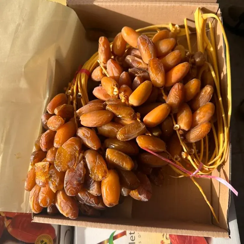 Dattes d'Algérie en carton